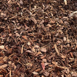 Play Grade Bark